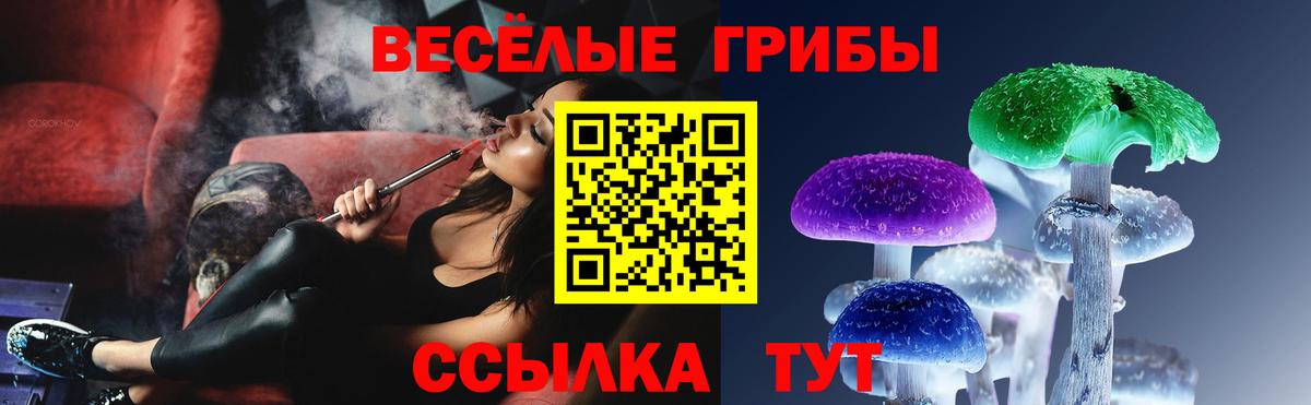 Сарапул  Псилоцибиновые грибы GOLDEN TEACHER  где купить наркотик  Вход с VPN 
